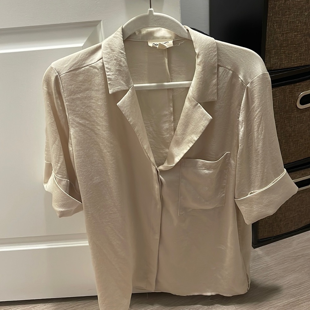 Tan Silk Short Sleeve Top